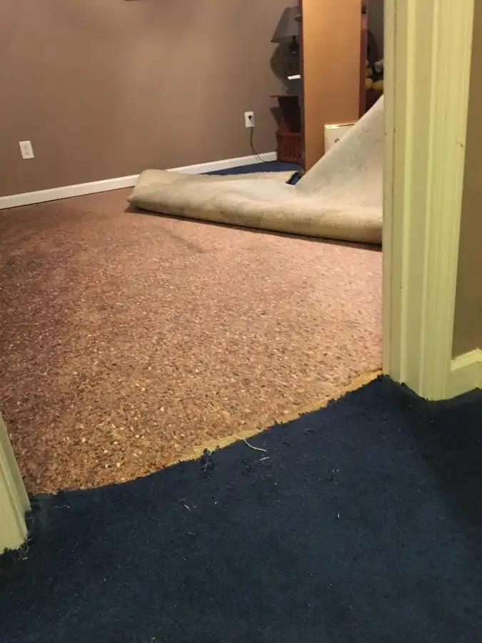Carpet pad removal revealing water damage during Water Mitigation Services in La Porte