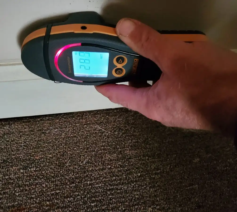 Moisture detection at baseboard during Sewage Cleanup & Sanitation in La Porte