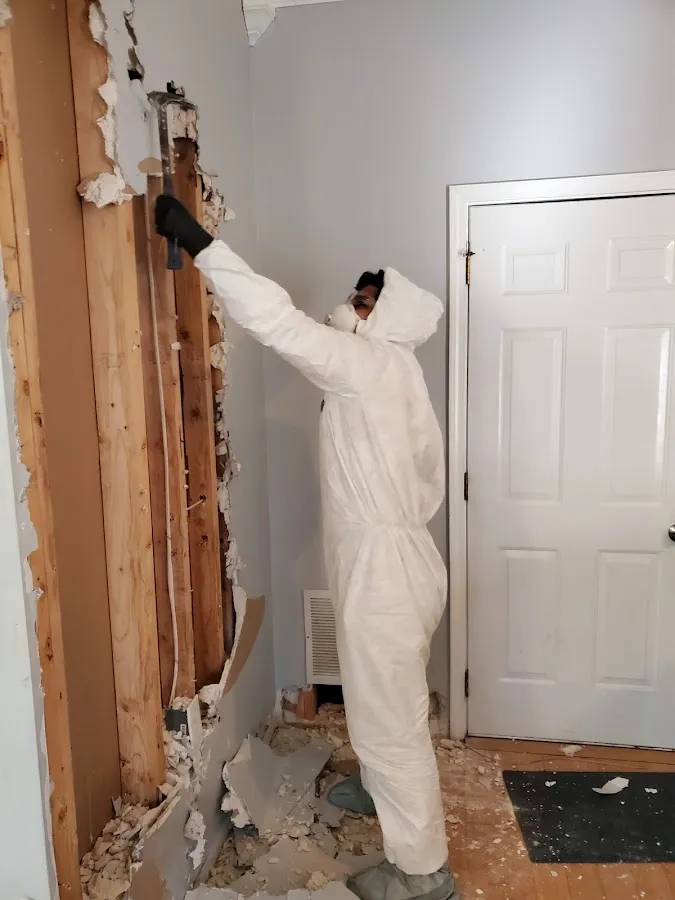 Water Damage Restoration services in La Porte, TX